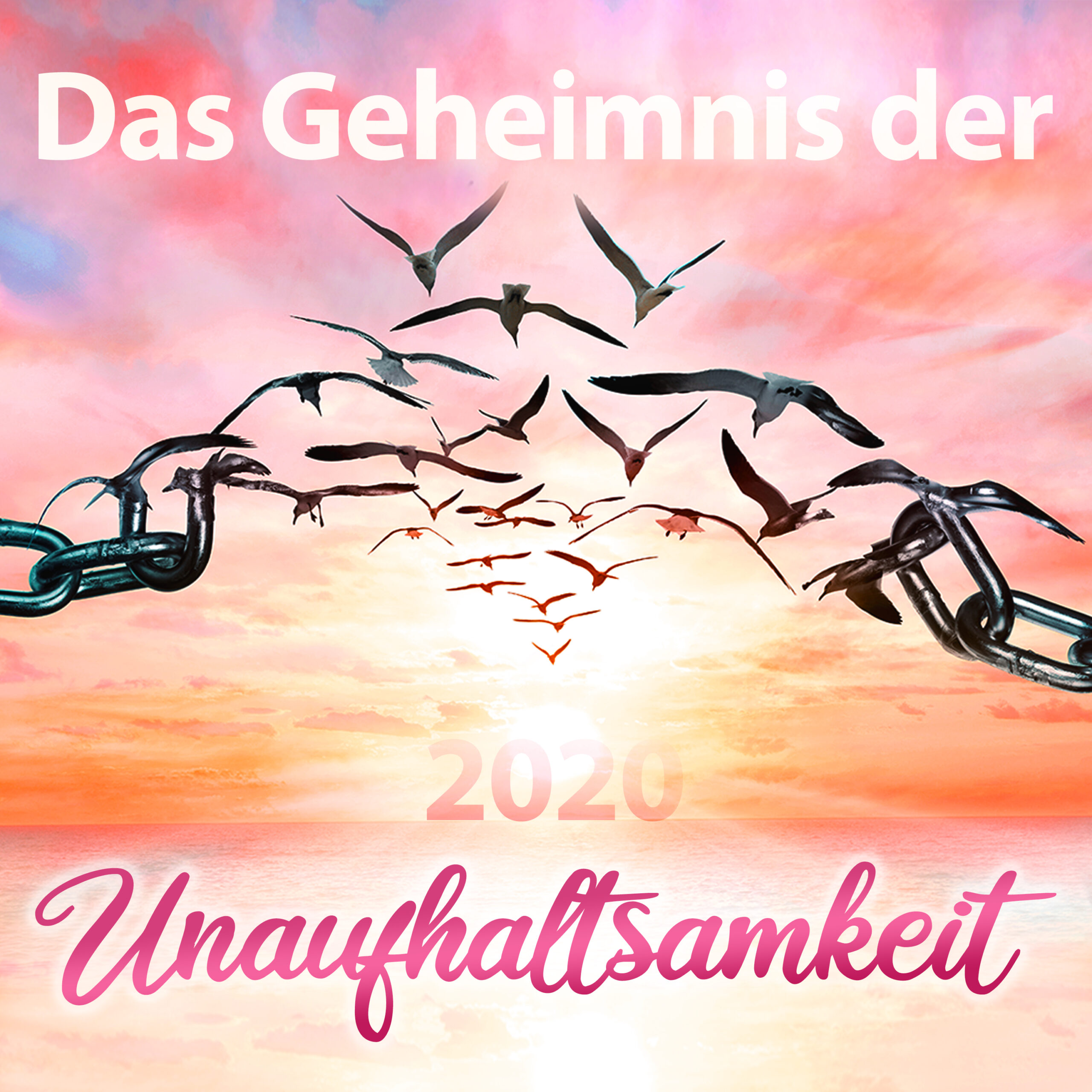 Cover Unaufhaltsamkeit